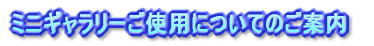 �~�j�M�������[���g�p�ɂ��Ă̂��ē�